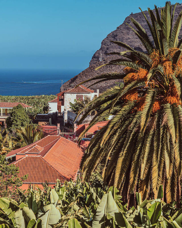 Cultural Yoga Retreat in The Canary Islands-10